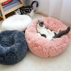 Cats 2024 beds luxury