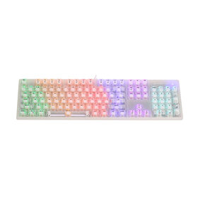 CLAVIER GAMER MÉCANIQUE FILAIRE, Clavier Slim CÂBLE TYPE-C DÉTACHABLE ANTI-GHOSTING COMPLET pour Ordinateur/Bureau/PC/Portable