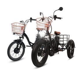 Familia cargo bicicleta bicicleta eléctrica Tricycles adultos Bicicletas  tres ruedas Triciclo para adultos con cesta para la venta - China Carga  bicicleta, bicicleta eléctrica cargo