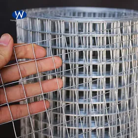 Hdpe Plastic Net Uv Stabilized Poultry Farm Net White Plastic Chicken Wire  Fence Mesh For Chicken $1.5 - Wholesale China Chicken Wire Netting Mesh at  factory prices from Weihai Saifeide Plastic And