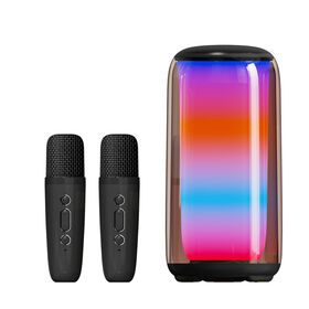Processeur Audio DSP Pour Voiture - Améliore Le Son De Ton Autoradio | Puissance 30W, Compatible Android
