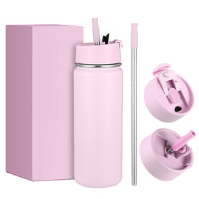 Factory Price Double Wall 304 Stainless Steel Water Bottle With Straw Lid Colorful Bottles