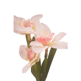 Luzes Solares de Narciso Decorativas para Exterior por Atacado