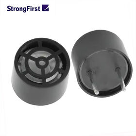 StrongFirst Factory cheap 10mm 40kHz ultrasonic transmitter for pest repellent