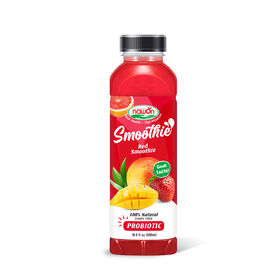 OEM/ODM 500ml Smoothie Drink Mix Fruchtiges, gesundes Erfrischungsgetränk zum Großhandelspreis, Premium Qualität von Nawon Beverage Supplier