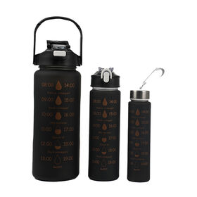 Großhandel 2000ml 750ml 300ml 3er Set Plastikwasserflasche mit Strohhalm für Reise- und Sports