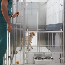 Wholesale Dog Kennel Products at Factory Prices from Manufacturers