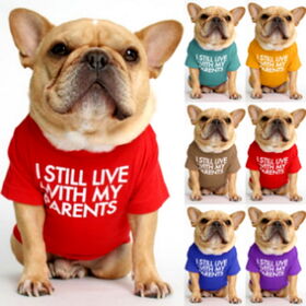 Wholesale Pet Clothes Products at Factory Prices from