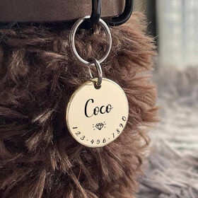Pet outing tag multicolor dog tag anti-loss identification tag with collar metal cat pendant