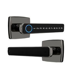 Serrure de porte intelligente pour salle de bain avec empreinte digitale, poignée de porte sans clé, carte, serrure de porte intelligente Tuya pour la maison