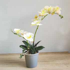 Décoration Murale 3D Avec Lumière LED - Sculpture Grès Et Vase Avec Plante - Moderne Pour Salon Ou Bureau