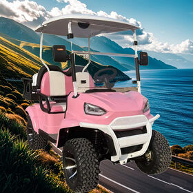 New model Golf Cart Legal Street Golf Cart with Lithium Battery