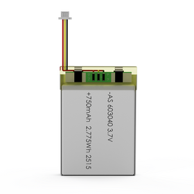 603040 3.7V 750mAh Li-Polymer Battery | UL1642 UL2054 CB CE CCC UN38.3 WERCS Certified Rechargeable Lithium Cell