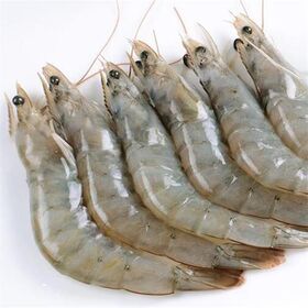 Nuevo Stock vivo congelado y camarones secos/congelado Vannamei camarón, comprar camarón blanco congelado