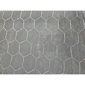 High Quality Hot-Dipped Galvanized Wire Mesh Hexagonal Wire Netting Pvc Coated Chicken mesh