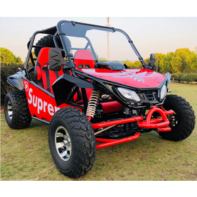 Chinese 250cc dune buggy sales