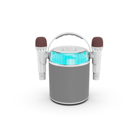 RGB Portable Bluetooth Speaker with 2 Microphone Set, Portable Mini System with Wireless Microphones & Bluetooth Connectivity