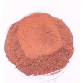 THE FACE SHOP] FMGT Tone Up Loose Powder 10g V203 Natural