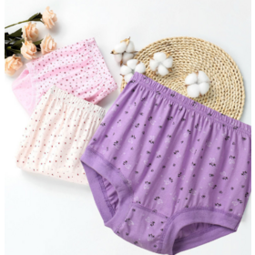 Super Soft Cotton Full Brierfs Eco - Friendly Printing Knickers for Old Lady Comfort Underwear For Mommy PK4 Eevry Day Essenital