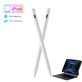 Stylet Intelligent Universel à Double Système pour Écran Tactile avec Rejet de la Paume pour Dessin sur Tablette iPad