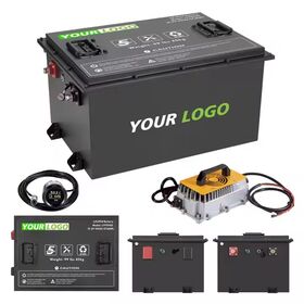 Customized Electric 48V Golf Cart Lithium Battery Pack 36V 48V 72V 100Ah 200Ah 300Ah for Lifepo4 Golf Cart Battery