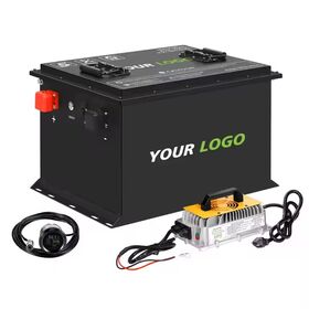 Recharge Golf Cart Battery 24v 36v 48v 72v 100Ah 200Ah 300Ah Lithium Ion Lifepo4 Battery With Intelligent Software BMS System