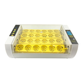 Mini Incubateur Numérique Pour Œufs - Couveuse Automatique 5 Tournages Pour Poules, Cailles, Pigeons Et Oiseaux