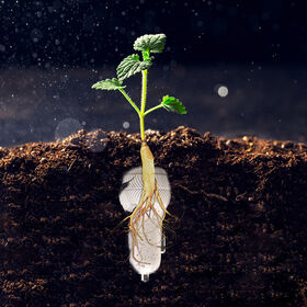 OEM, factory,Sunlike biodegradable car charger,eco-friendly,dual ports,PD 20W,QC 18W,support 2 devices simultaneously,for car