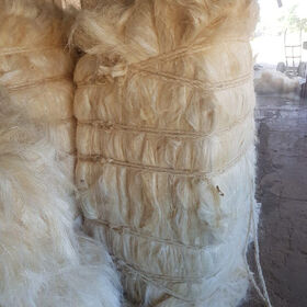 Hot Sale Sisal Fiber Bleached White 100% Natural / Quality Sisal Fibre / Raw Sisal Fibre Material