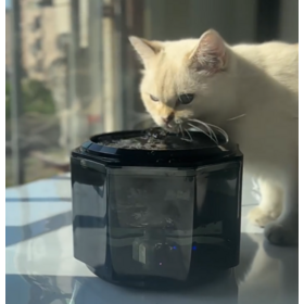 2,2L Automatischer Haustier Katzenbrunnen mit LED, Elektrischer USB Hunde Katzen Trinkbrunnen, Leiser Futterspender, Haustier Trinkbrunnen