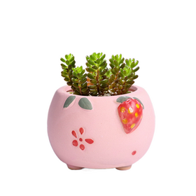 Zhuge Suculentas Artificiales En Macetas De Cemento Con Patas Colgantes, Plantas Suculentas Artificiales Realistas Lindas Mini Plantas En Macetas Falsas Con Forma Humana C