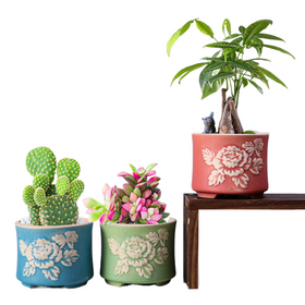 Pot De Fleur En Céramique Succulent Conteneur De Plantes En Pot De Pot De Fleur En Céramique Succulent Conteneur De Plantes En Pot De