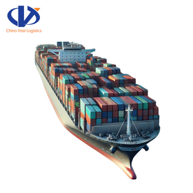 Services logistiques internationaux professionnels et rapide de la mer Agent d'expédition de la Chine à l'Italie Espagne France transitaire