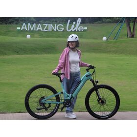 VTT Électrique DH1.0 en Acier 27.5", Prix Usine, 36V 350W avec Vélo Électrique 25km/h