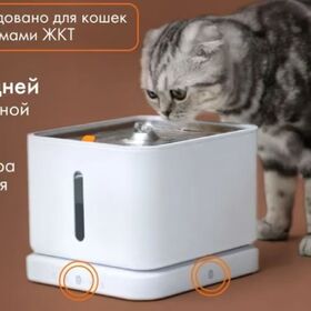 Bebedero Automático para Gatos con Monitorización - Fuentes de Agua para Gatos de Interior, Dispensador de Agua para Mascotas, OEM ODM