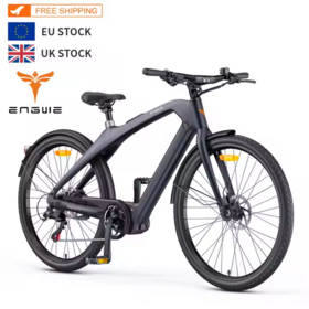 Marin Argenta Elite 105 Endurance Road Bike - Buy Indonesia