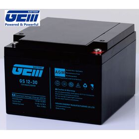 GS 12V 30Ah AGM Batterie - Für Rechenzentren & Solar-USV / Notstromversorgung / Überwachungssystem / Alarm / CCTV & Kameras