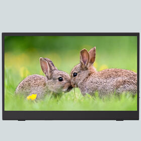 Portable Monitor 15.6 inch | FHD 1K 1920x1080 | 60Hz | IPS | Hot selling | Can OEM Supplier CMS PM04 Wholesale Competitive Price