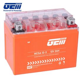 GEM 12V 3Ah High-CCA Gel Battery - 220A Pulse Power, Fits YT3L-YB3L (Maintenance Free)