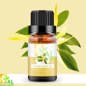 Óleo Essencial de Ylang Ylang Natural - Extrato de Planta, Óleo Essencial Puro, Preço de Fábrica, Fornecedor e Fabricante na China