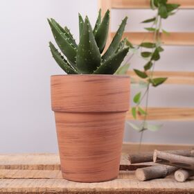 Lot De 2 Pots De Fleurs Ronds En Céramique - Diamètre : 12 Cm Hauteur 12 5 Cm Diametre 14 5 Cm Hauteur 15 Cm Blanc Kotarbau 94604036