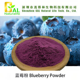 Blueberry Powder Food additive food additive and clouring plant extract wholesale factory price cheap OEM ODM manufacturer