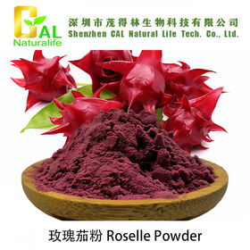 Proveedor Chino de Polvo de Roselle para Bebidas / Aditivo Alimentario y Colorante, Extracto de Planta, Precio de Fábrica