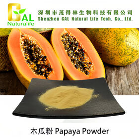 Mamão Papaia em Pó Aditivo Alimentar e Corante Extrato de Planta Preço de Fábrica Fornecedor Fabricante China