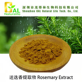 Plant extract Rosemary Extract natural plant extract food additive and colouring