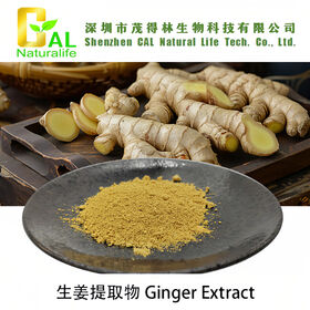 Plant extract Ginger Extract natural plant extract food additive and colouring