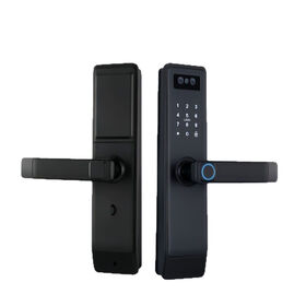 Factory Direct Sales Integrated Homestay App Face Recognition Fingerprint Password Smart home Electronic Lock