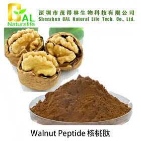 Pflanzliches Peptidpulver, Lebensmittelzusatzstoffe, Walnusskernextrakt, pflanzliches Walnuss-Peptidextrakt-Pulver