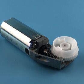 Customized 18V OD:45mm*86.5mm(L) Carbon brushed DC motor with worm gear for linear actuators