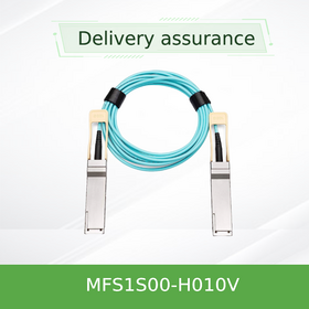 High-Speed Data Center MFS1S00-H010V 200G QSFP56 MMF Active Optical Cable AOC for HDR InfiniBand